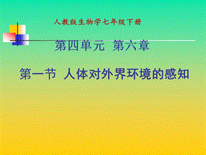 人体对外界环境的感知---眼睛.ppt