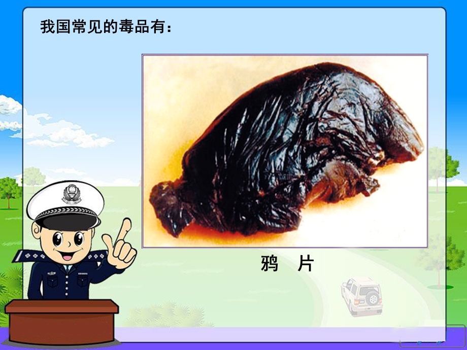 珍爱生命远离毒品——PPT.ppt_第3页