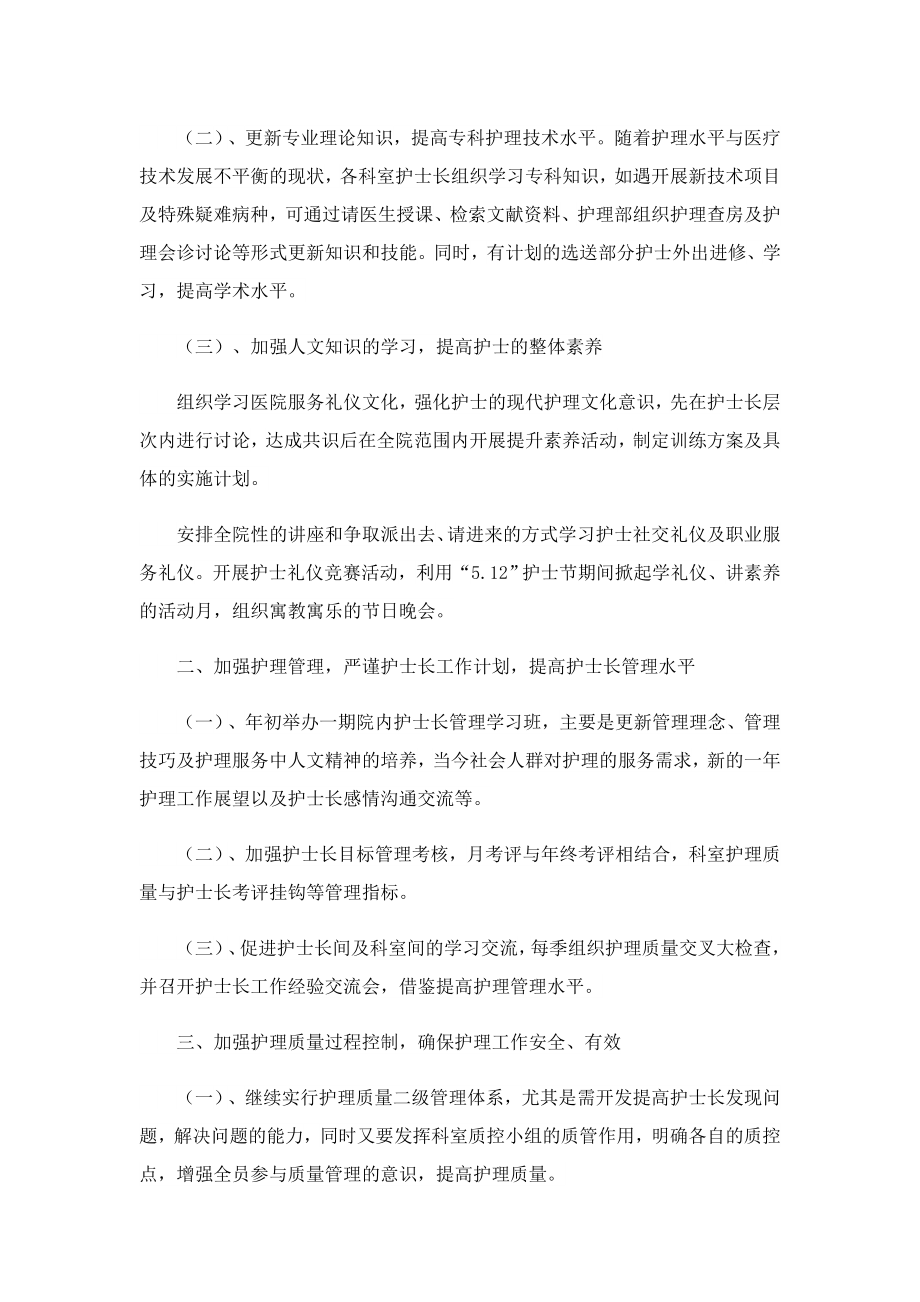 医院护士岗位工作计划怎么写.doc_第2页