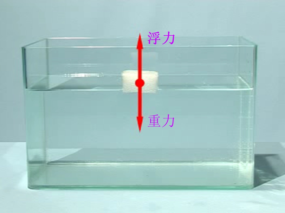 （教科版）五年级科学下册课件浮力1.ppt_第3页