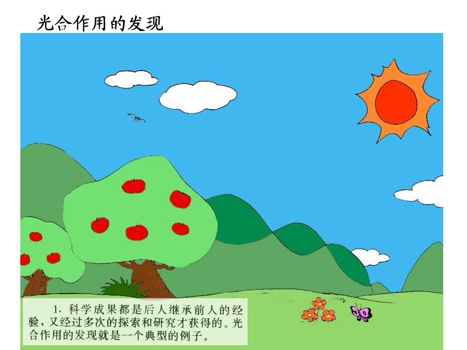 植物光合作用的发现.ppt_第3页