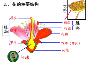 植物光合作用的发现.ppt