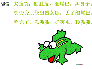 《小蝌蚪找妈妈》PPT.ppt