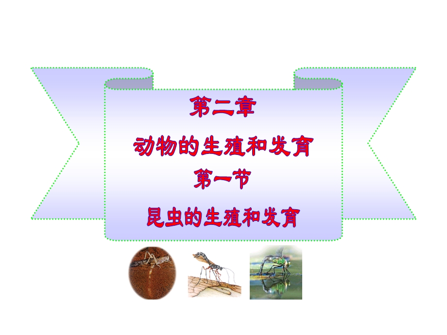 昆虫的生殖和发育(1).ppt_第1页