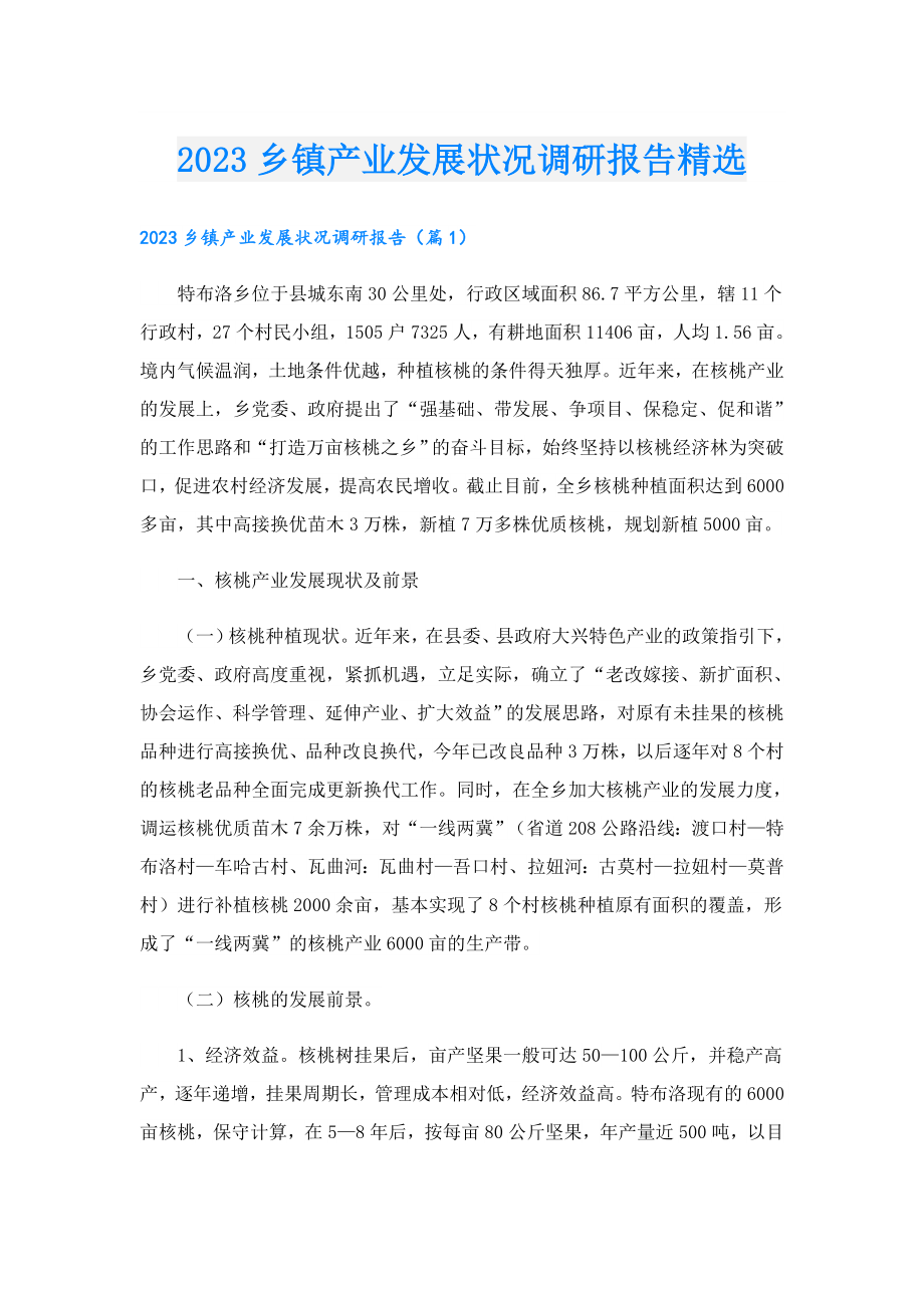 2023乡镇产业发展状况调研报告精选.doc_第1页