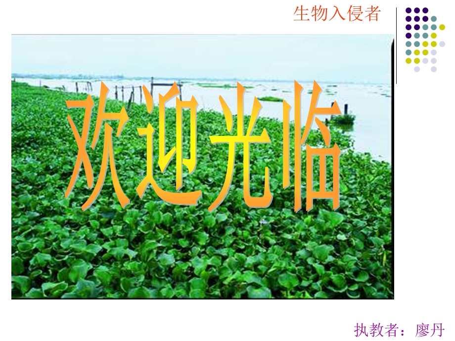 生物入侵者上课用.ppt_第1页