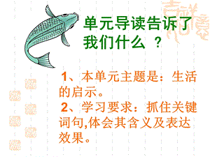 钓鱼的启示PPT (2).ppt