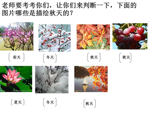 语文人教版二年级上册第一课秋天的图画课件.ppt