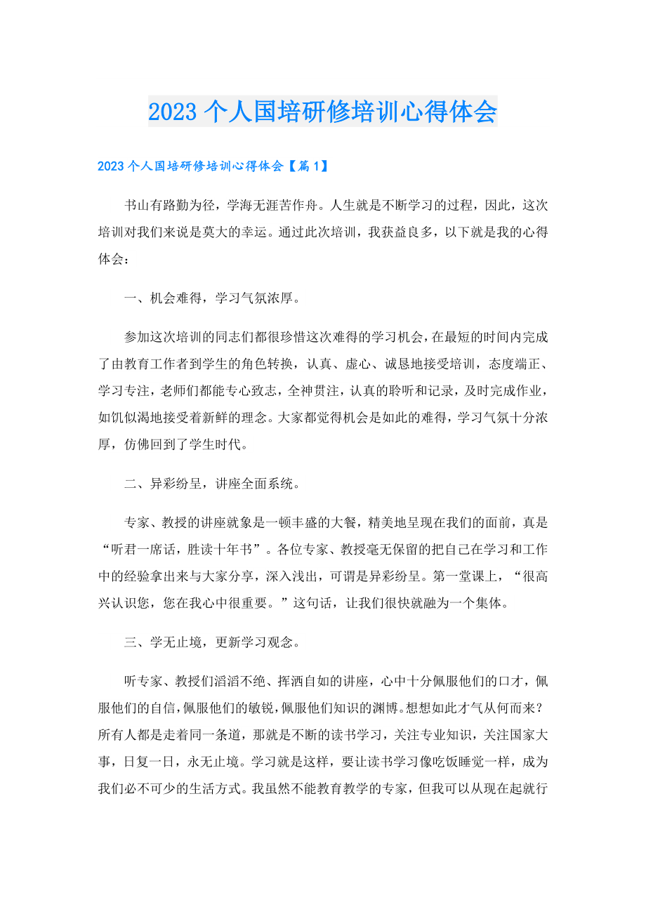 2023个人国培研修培训心得体会.doc