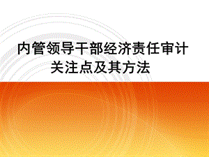 内管领导干部经济责任审计关注点及其方法.ppt