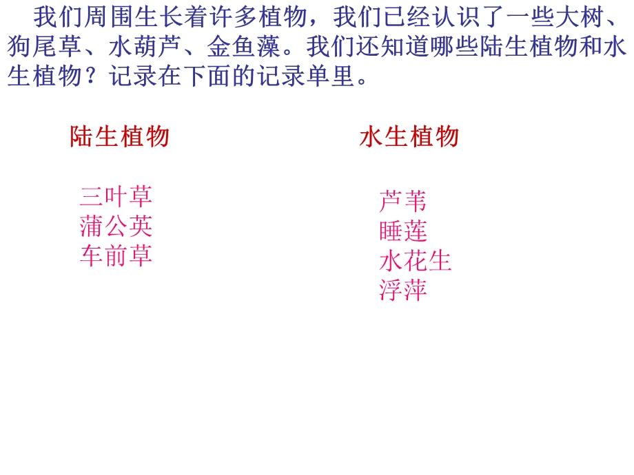 一7植物有哪些相同特点周玉孟.ppt_第2页