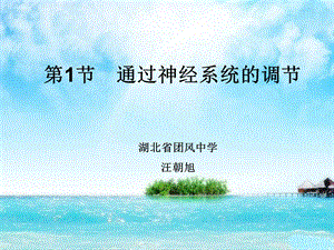 通过神经系统的调节第一课时.ppt