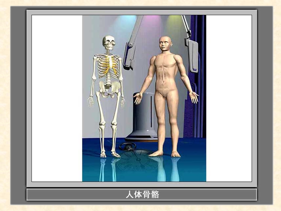 小学科学四级上册关节.ppt_第1页