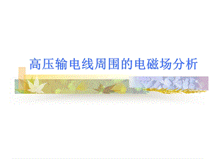 高压输电线周围的电磁场分析.ppt