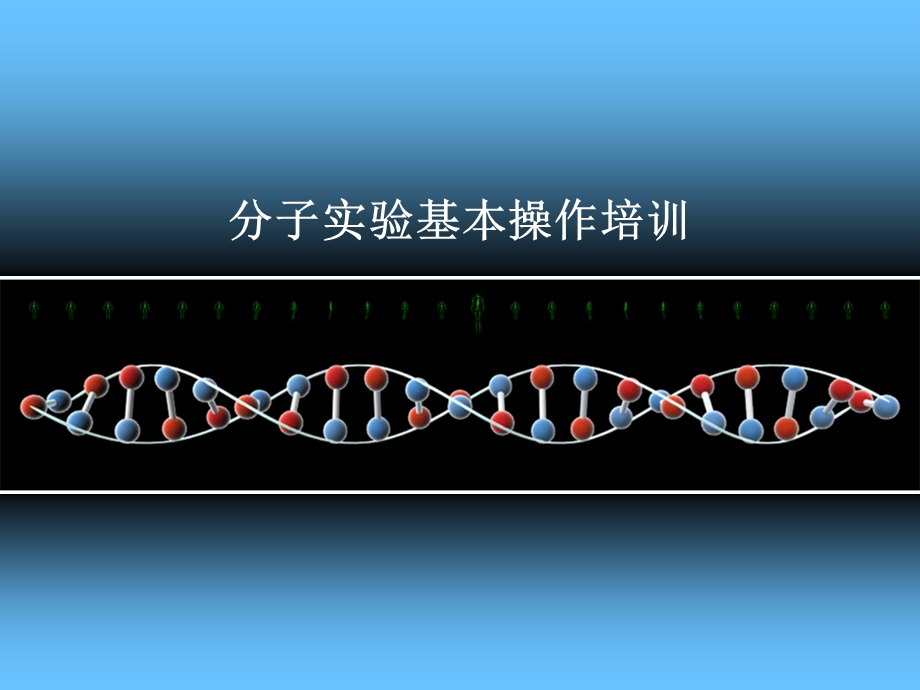 分子实验基本操作培训.ppt_第1页