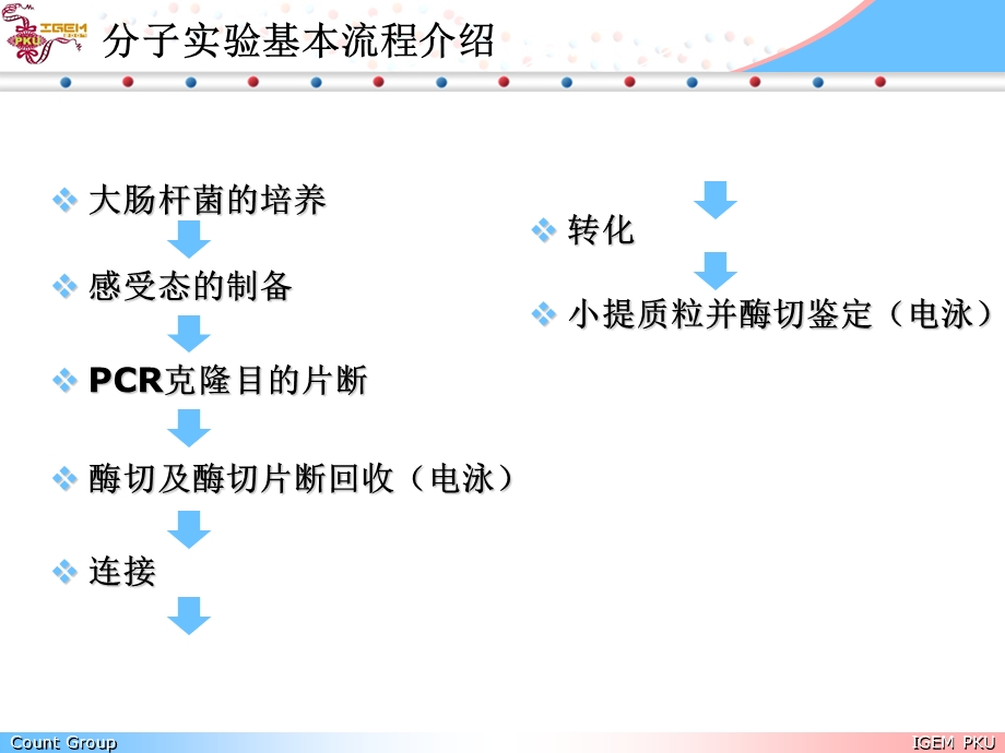 分子实验基本操作培训.ppt_第3页