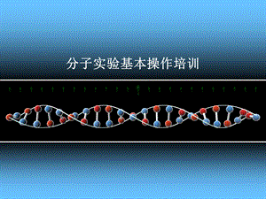 分子实验基本操作培训.ppt