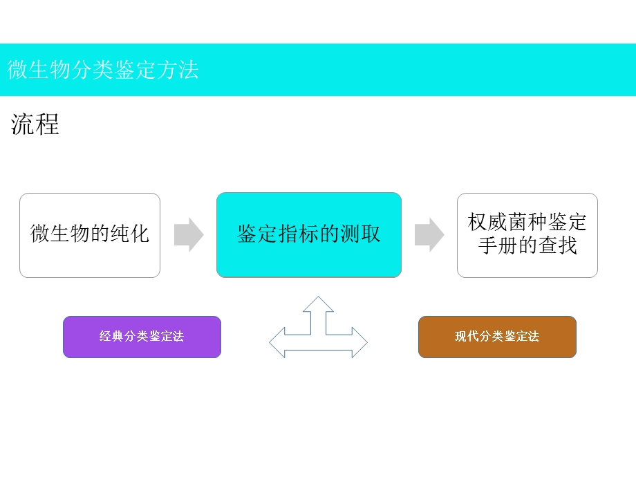 微生物分类鉴定方法.pptx_第3页