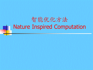 智能优化方法.ppt