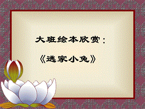 逃家小兔__PPT.ppt