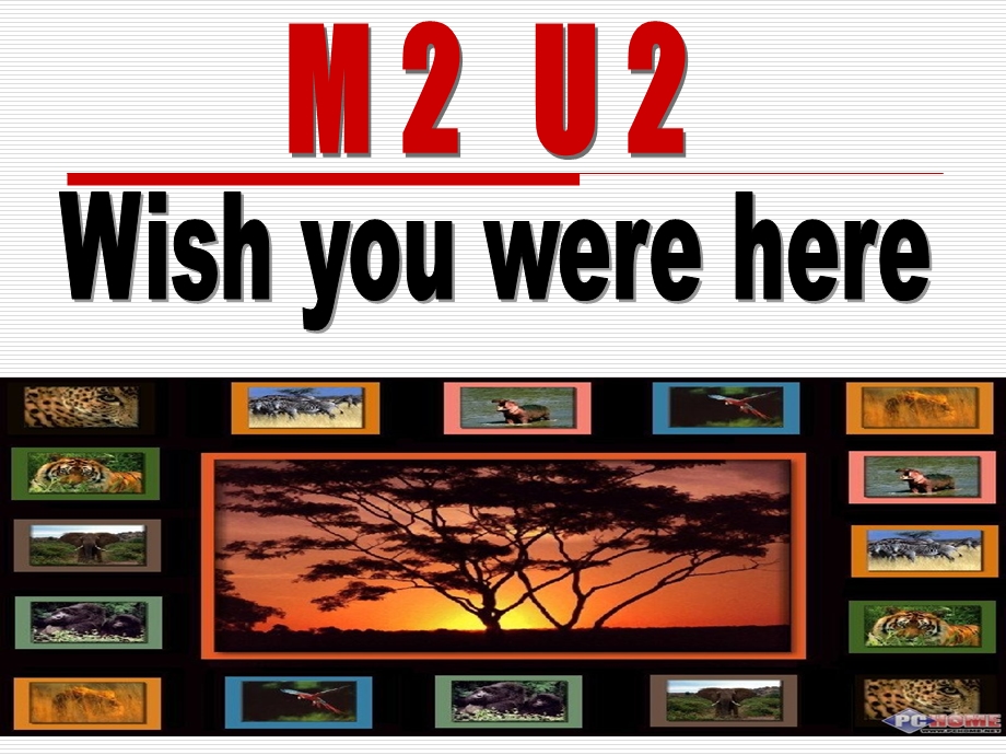 M2U2 Reading wish you were here .ppt_第1页