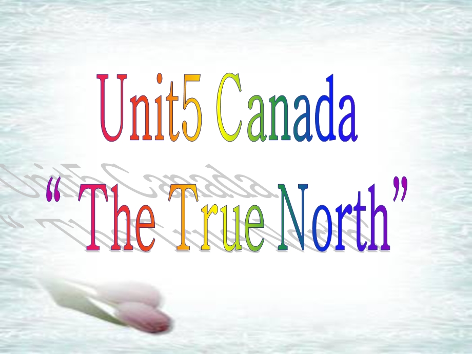 必修三 5.5Unit 5 Canada　The True North课件新课标人教版－必修3.ppt_第2页