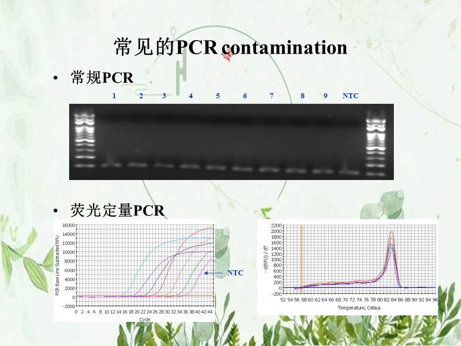 实验室污染防治.pptx_第3页