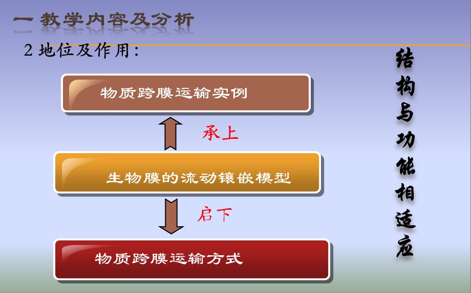 生物膜的流动镶嵌模型.ppt_第3页