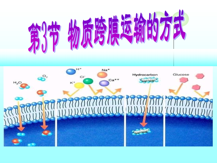 物质跨膜运输的方式(人教版必修一).ppt_第3页