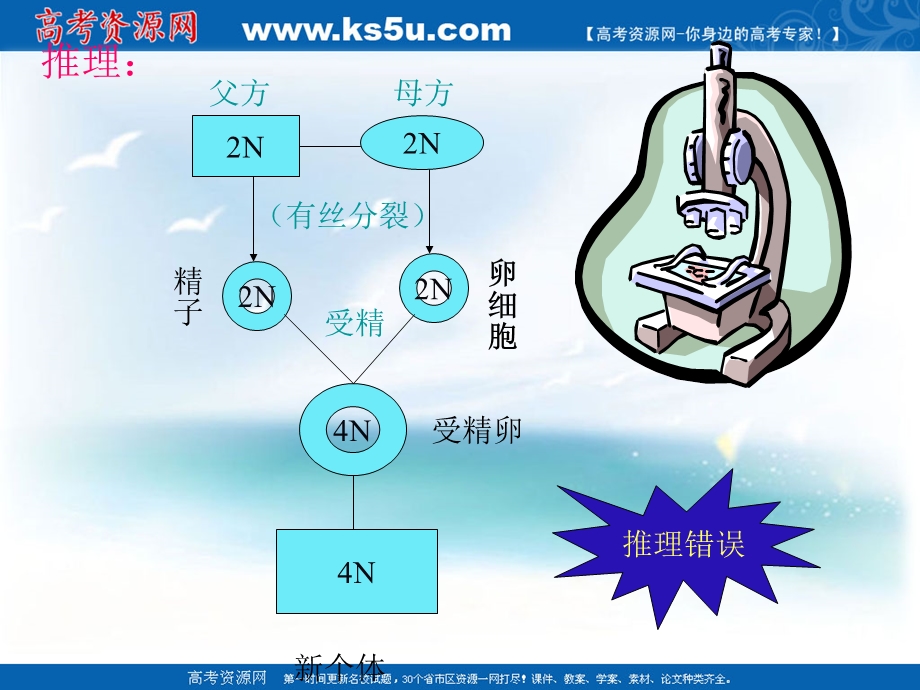 生物：21《减数分裂》课件（新人教版必修2）.ppt_第3页