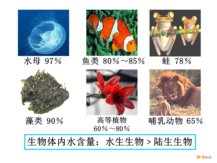 细胞中的无机物 (2).ppt_第3页