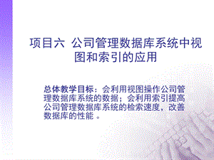 项目六公司管理数据库系统中视图和索引的应用.ppt