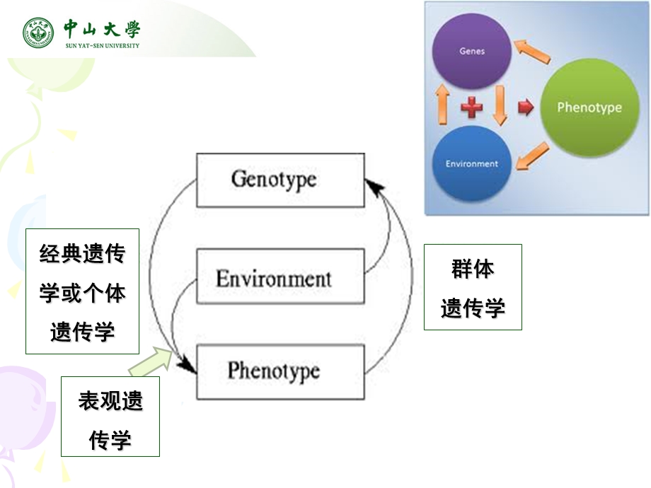 在遗传学教学中的表观遗传学知识融合.ppt_第3页