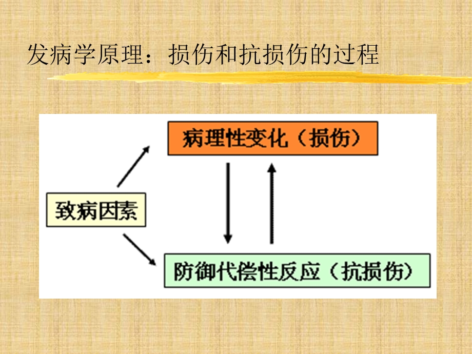 软组织损伤与处理原则.ppt_第3页