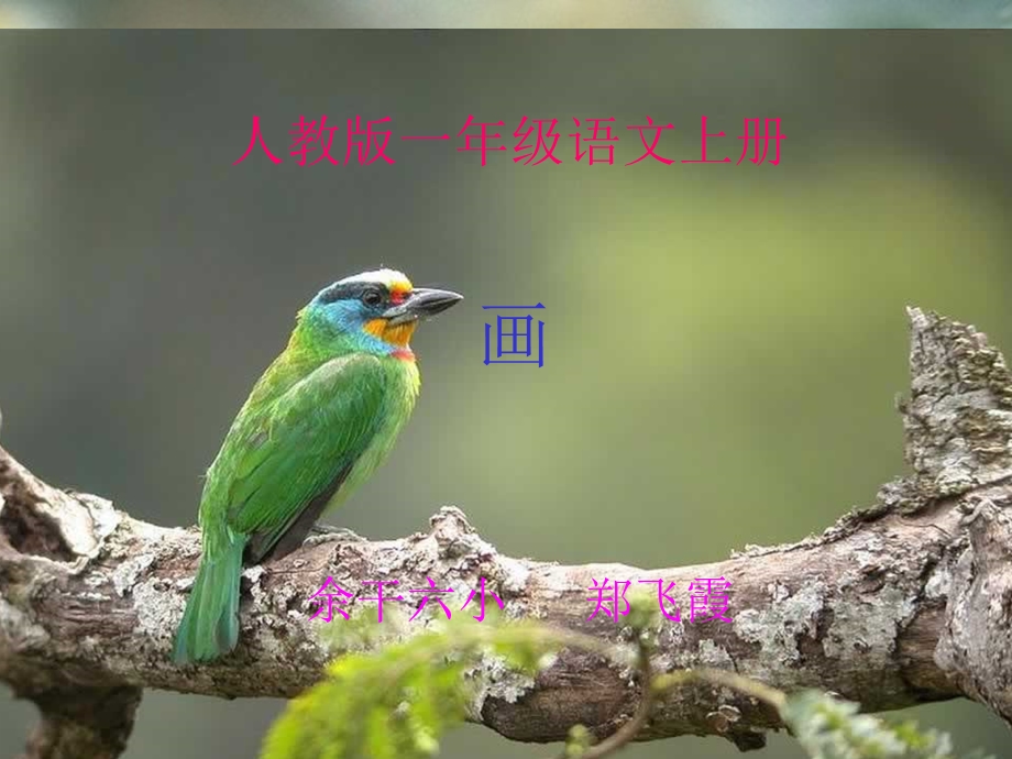 人教版一年级上册《1、画》.ppt_第1页