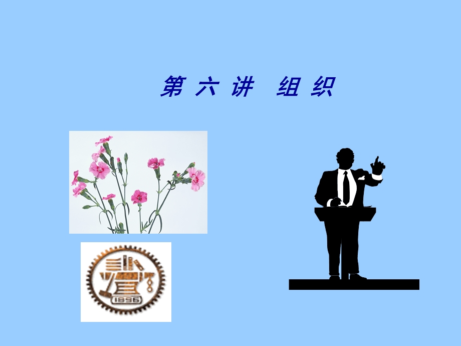 什么是组织？.ppt_第1页