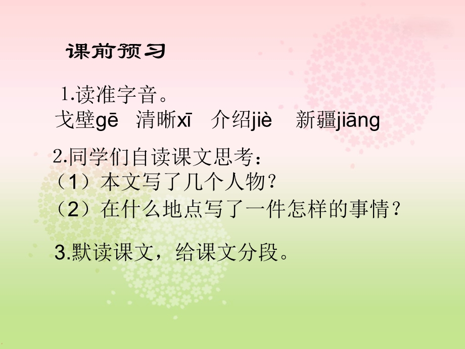 五年级语文下册《白杨》课件.ppt_第2页