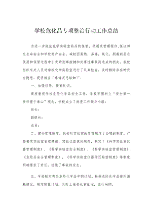 学校危化品专项整治行动工作总结.docx