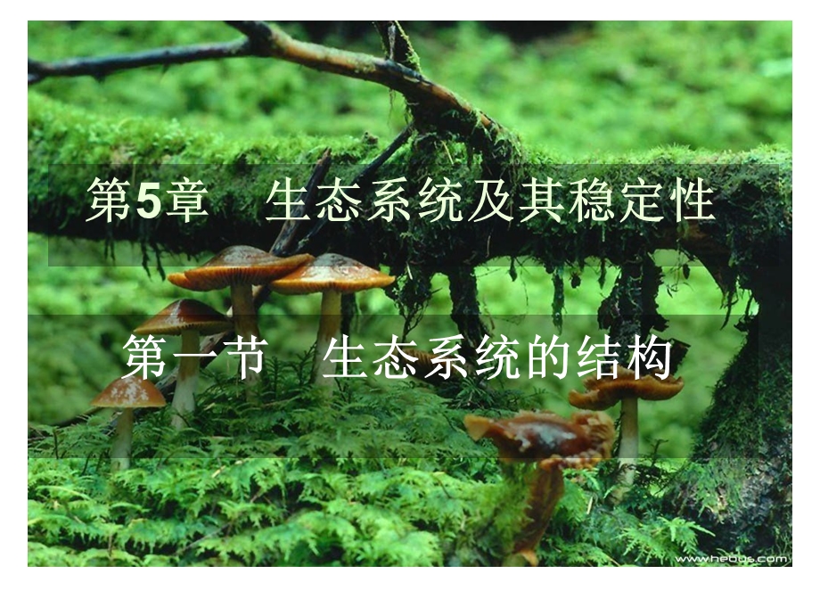 生物与环境构成生态系统.ppt_第1页