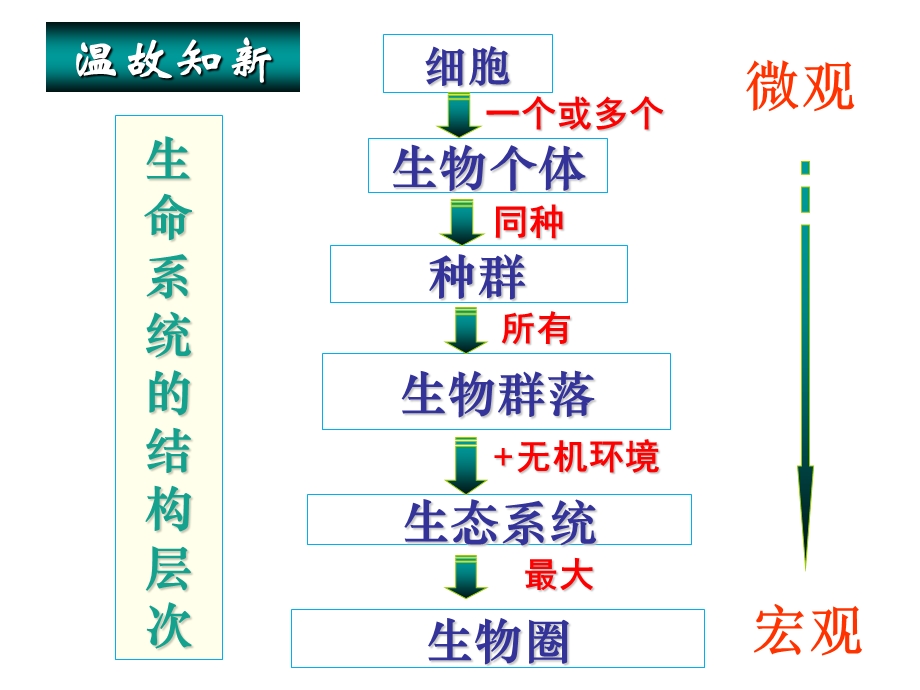 生物与环境构成生态系统.ppt_第2页