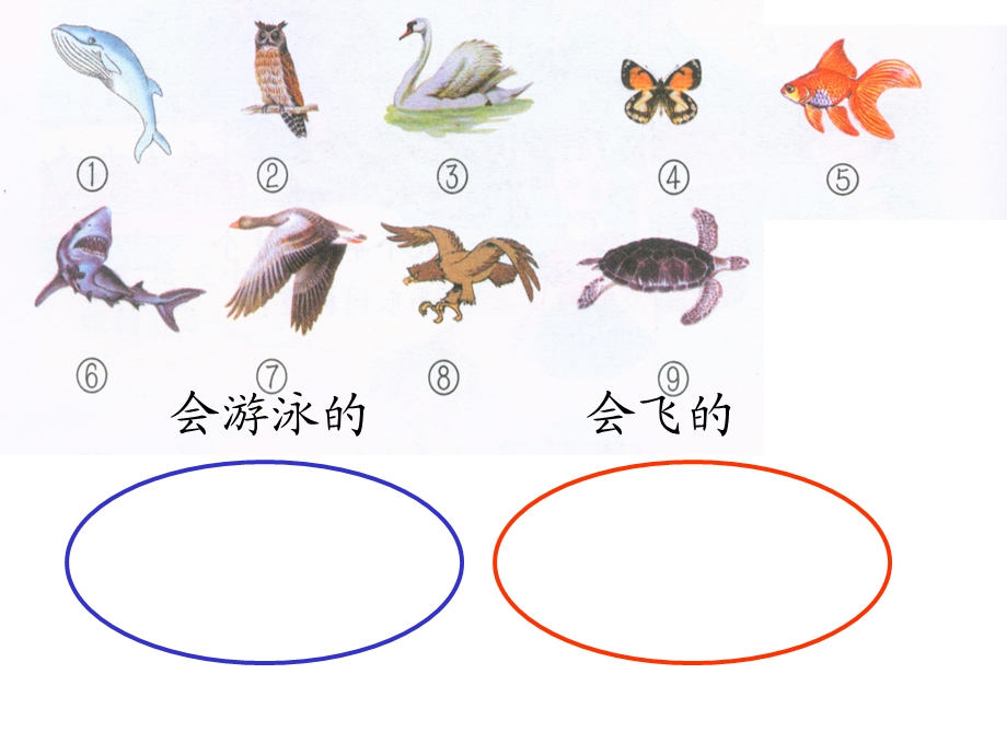 重叠问题的课件1.ppt_第3页