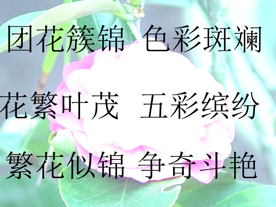 自己的花是让别人看的演示文稿.ppt_第2页