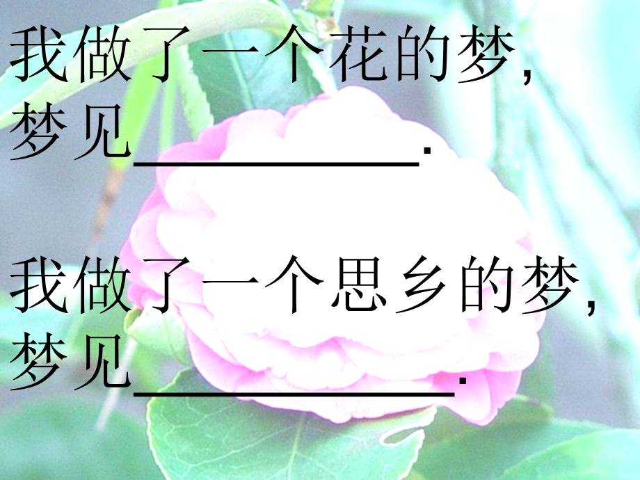 自己的花是让别人看的演示文稿.ppt_第3页