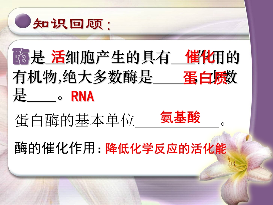 酶的特性(文).ppt_第2页