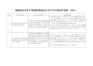 湖南省安全生产领域轻微违法行为不予行政处罚清单（试行）.docx