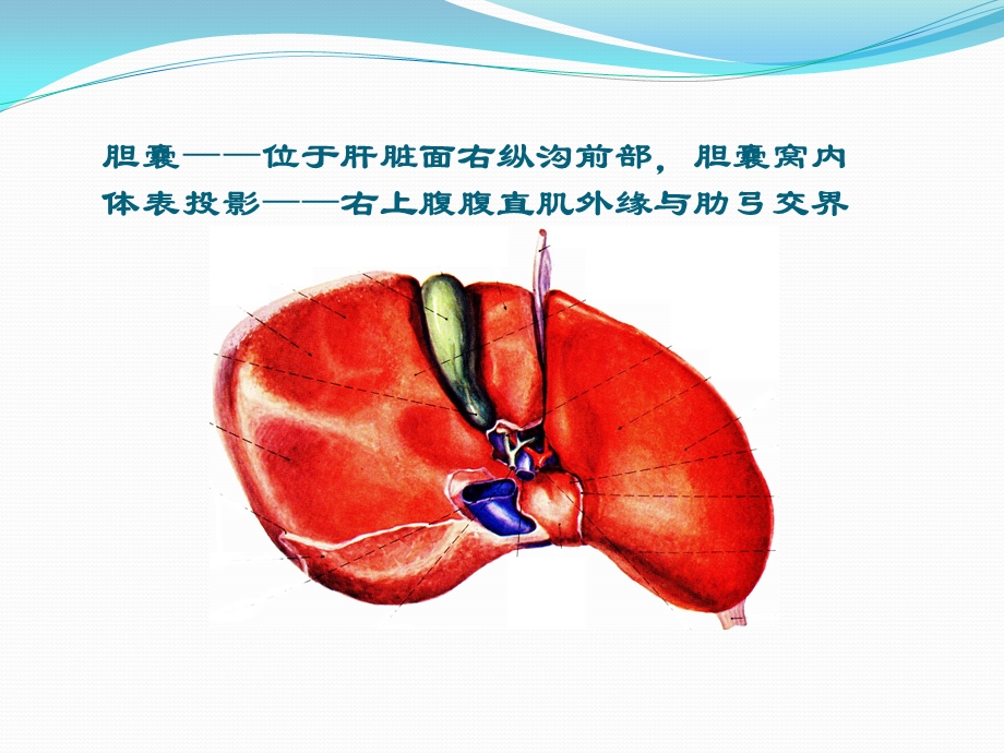 胆道疾病胆脾胰腺.ppt_第3页