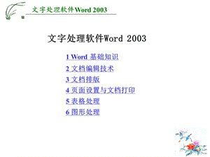 Word2003课件.ppt