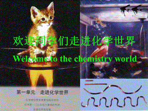 欢迎同学们走进化学世界Welcometothechemistryworld.ppt