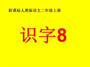 新课标人教版语文二年级上册__识字8课件.ppt