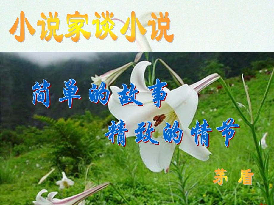 十四_小说家谈小说.ppt_第1页